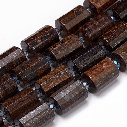 Natural Bronzite Beads Strands, Faceted, Column, 14~17x9.5~10.5mm, Hole: 0.8~1.2mm, about 21~22pcs/Strand, 14.96~15.35 inch(38~39cm)
