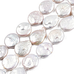 Fili di perle di perle keshi perle barocche naturali rotonde piatte, perla d'acqua dolce coltivata, biancheria, 17~19x3~8mm, Foro: 0.8 mm, circa 20pcs/filo, 14.9 pollice