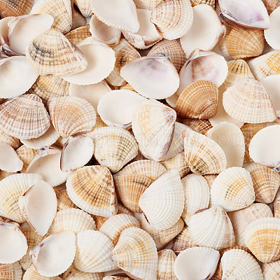 Естественная оболочка&nbsp;FIND-TAC0026-10A-1