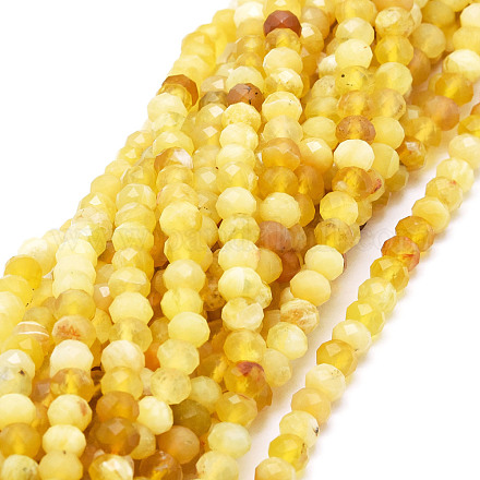Chapelets de perles en opale jaune naturelle G-E569-I21-1