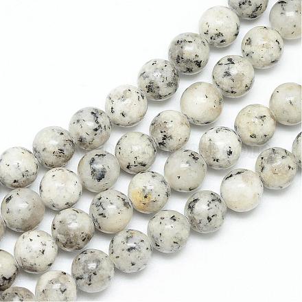 Chapelets de perles en jaspe sésame naturel / jaspe kiwi G-R345-6mm-27-1