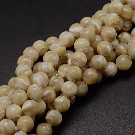 Chapelets de perles rondes en coquillage naturel SSHEL-M013-8mm-02-1
