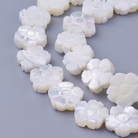 Chapelets de perles de coquillage SSHEL-E571-35-1