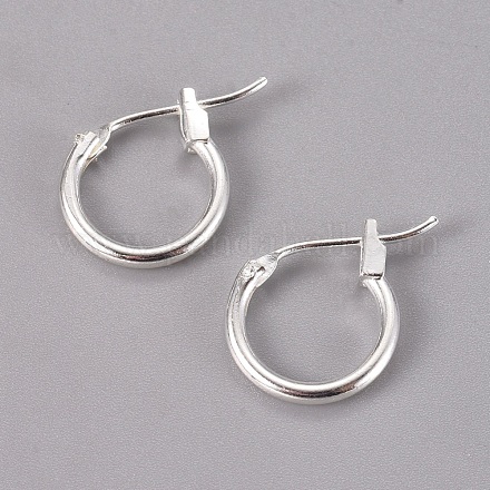 Brass Hoop Earrings EC107-1NFS-1
