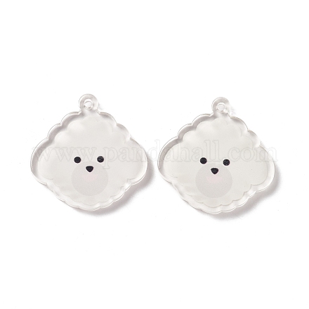 Прозрачные акриловые подвески&nbsp;TACR-G038-03B-1