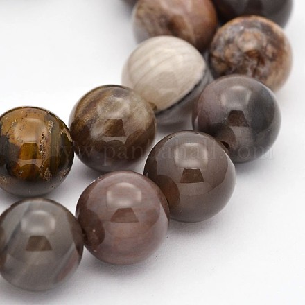 Bois pétrifié naturel perles rondes brins X-G-P101-01-8mm-1