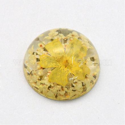 Resin Cabochons RESI-S320-16mm-23-1