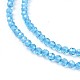 Transparent Glass Beads Strands GLAA-F094-A01-3