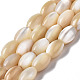 Fili di perle di conchiglia trochid naturale / trochus SSHEL-S266-021B-01-1