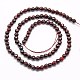 Natural Bloodstone Beads Strands G-G545-34-2