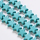 Synthetic Turquoise Beads Strands G-E466-03-1