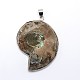 Laiton pendentifs coquille de pierre SSHEL-F0006-01-2