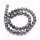 Chapelets de perles en labradorite naturelle  G-O166-08-8mm-2