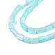 Chapelets de perles de coquille de trochid / trochus coquille SHEL-N003-26-B09-3