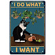 Creatcabin Metall-Blechschild mit schwarzer Katze „I Do What I Want“ AJEW-WH0157-515-1