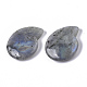 天然石ラブラドライトビーズ  穴なし/ドリルなし  らせん状のシェル形状  25x21x5mm G-R464-008B-3