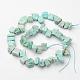 Natural Amazonite Beads Strands G-D831-15-2