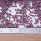 Perles miyuki delica petites SEED-J020-DBS0265-4