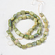 Natural Shell Beads Strands PBB073Y-2