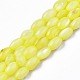 Chapelets de perles en coquille d'eau douce  SHEL-T009-B15-01-1