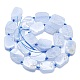 Chapelets de perles d'agate naturelle G-K245-J10-A01-2