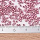 Miyuki Delica Perlen&nbsp;X-SEED-J020-DB1840F-4