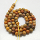 Natural Fossil Coral Beads Strands G-G212-6mm-30-2