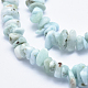 Natural Larimar Beads Strands G-K256-34A-3