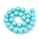 Electroplate Shell Pearl Beads Strands SHEL-T005-10G-2