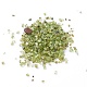 Natural Olive Quartz Beads G-I221-12-1