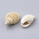 Cuentas de concha de caracol naturales SSHEL-S258-12-3