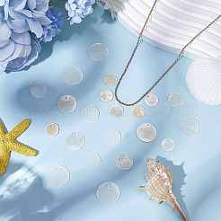 200 шт. 4 стиля подвески из натуральной ракушки капиз&nbsp;SSHEL-ME0001-07