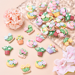 60шт 3 стиля непрозрачные кабошоны из смолы&nbsp;RESI-YW0002-02