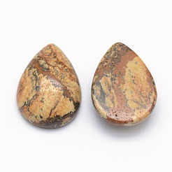 Natur Bildjaspisses cabochons&nbsp;G-E491-B-26
