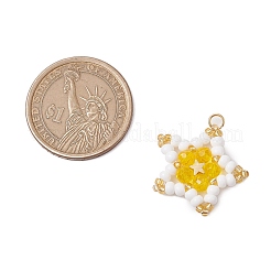 Pendenti a forma di stella con perline di vetro&nbsp;PALLOY-MZ00541-02