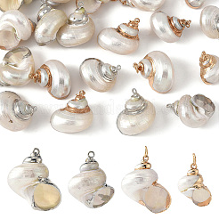 Pendenti a conchiglia a spirale elettroplaccati&nbsp;BSHE-YW0001-07G