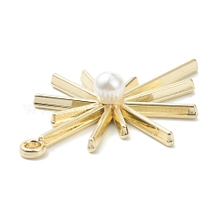 Подвески из сплава &nbsp;X-PALLOY-E580-05LG