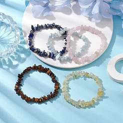 12 constellation de bracelets extensibles en perles de pierres précieuses mélangées naturelles pour femmes et hommes&nbsp;BJEW-JB10264-04