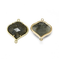 Соединители из натурального лабрадорита&nbsp;G-L514-018F
