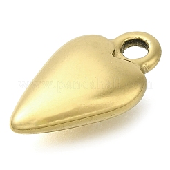 Ионное покрытие (ip) подвески из нержавеющей стали 304&nbsp;STAS-I310-06G