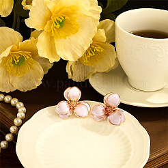 2 пара двухцветных серег-гвоздиков с эмалевым покрытием&nbsp;EJEW-GO0007-011