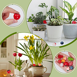 30 шт. 10 стиля миниатюрных фруктовых украшений из смолы&nbsp;DJEW-WR0001-12