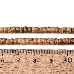 Chapelets de perles en jaspe avec images naturelles&nbsp;G-Q606-46A-14