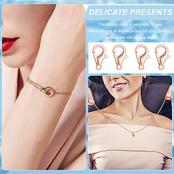 5 сумка латунные карабины-клешни&nbsp;FIND-BC0005-20RG