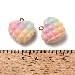 Подвески из непрозрачных смоляных бусин радужных цветов в виде вафель&nbsp;RESI-F035-01