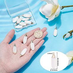 Природные подвески оболочки пресноводных&nbsp;SHEL-BC0001-002