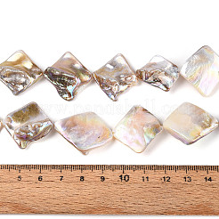 Нити бусин из натуральных пресноводных раковин цвета ab BSHE-T014-38