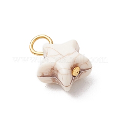 Хрустящие непрозрачные акриловые подвески&nbsp;PALLOY-JF03924-02