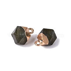Natur Labradorit Anhänger&nbsp;G-N359-18G-02