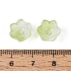 Capuchons de perles de verre transparents bicolores peints à la bombe&nbsp;A-GLAA-Q089-002B-010